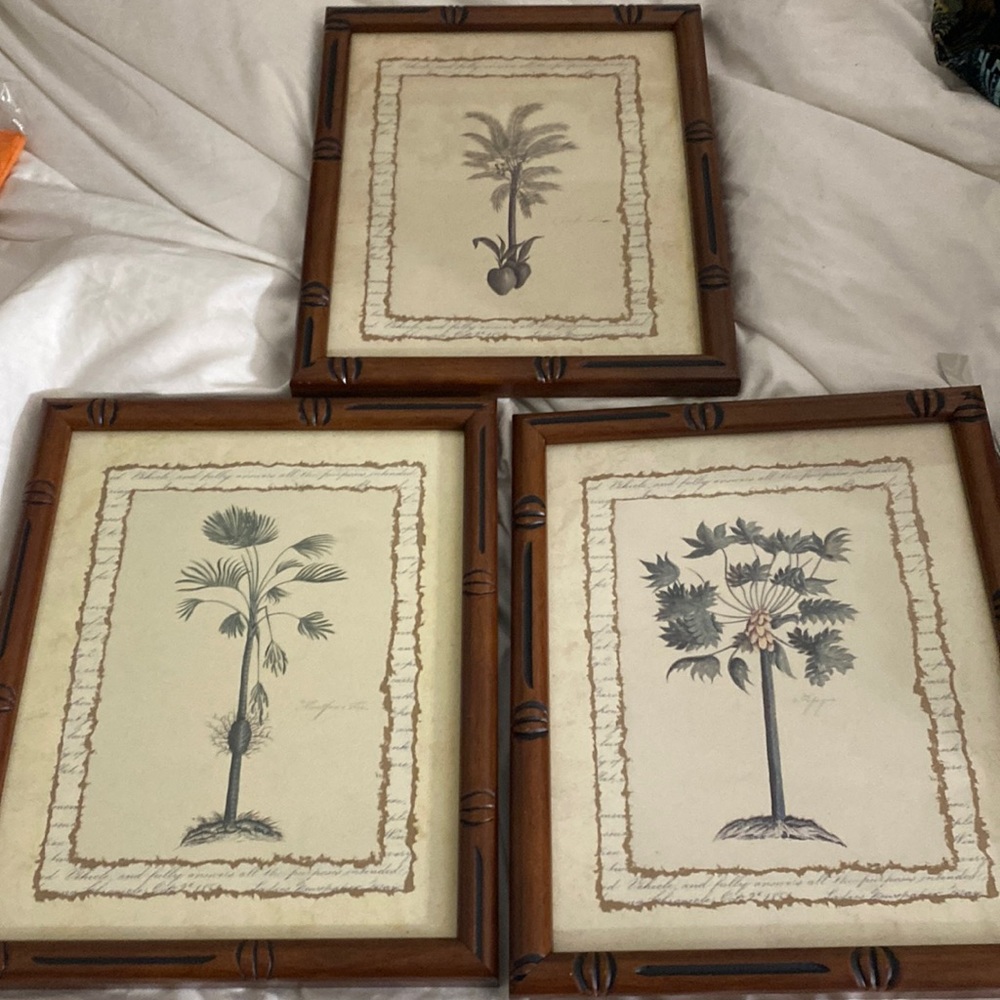 3 palm tree set 0f photo frames with beautiful wood artwork around the edges